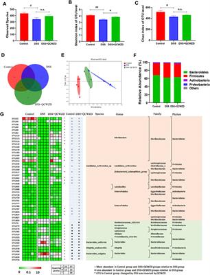 Qingchang Wenzhong Decoction Accelerates Intestinal Mucosal Healing Through Modulation of Dysregulated Gut Microbiome, Intestinal Barrier and Immune Responses in Mice